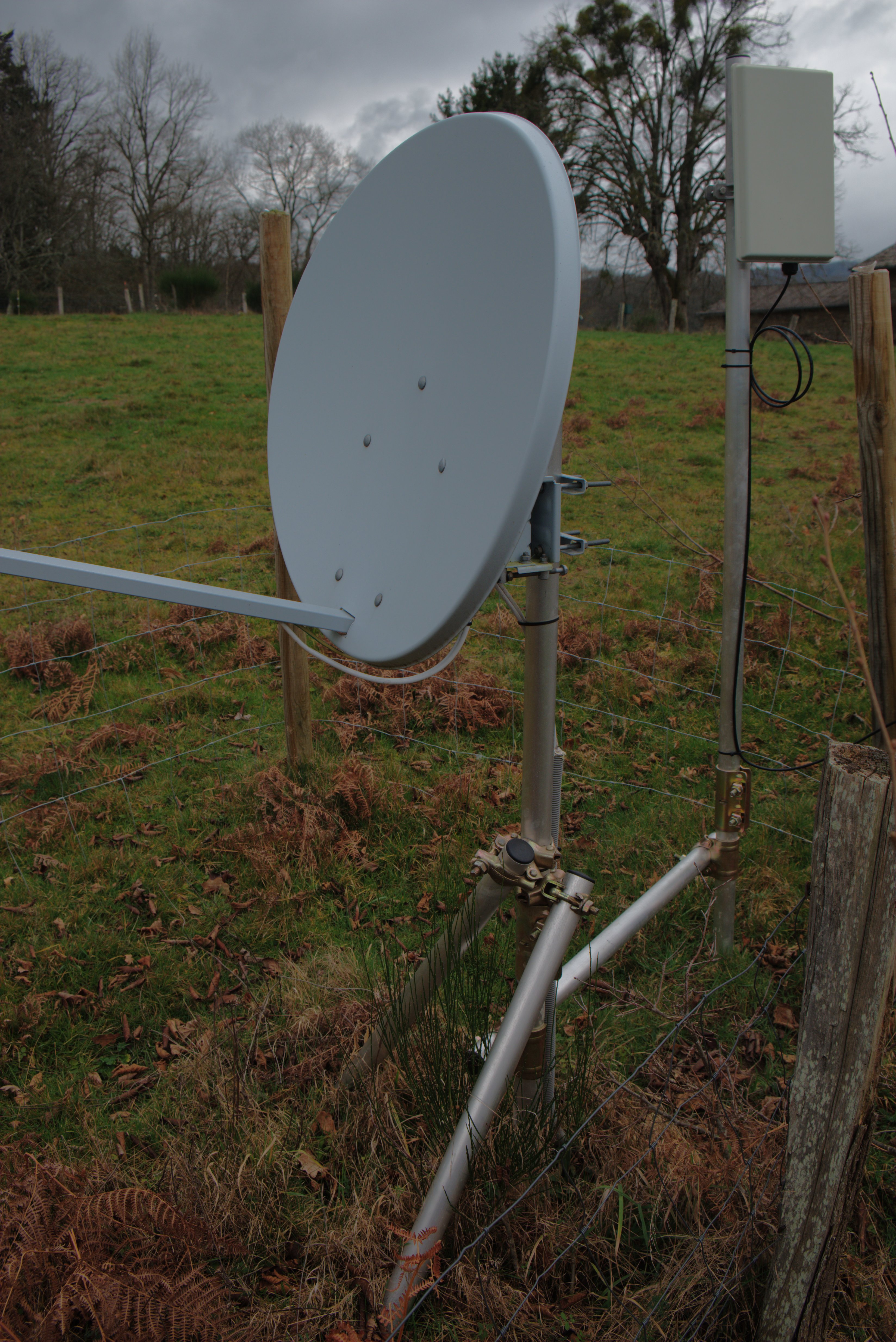 satellite 