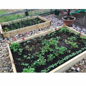 Untreated Timber Raised Garden Beds - 2.4m (8ft) x 1.2m (4ft)